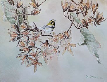 Townsend S Warbler Male Painting Art By Daniel Davis