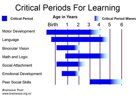 Age And Stage Development Nuku Ora