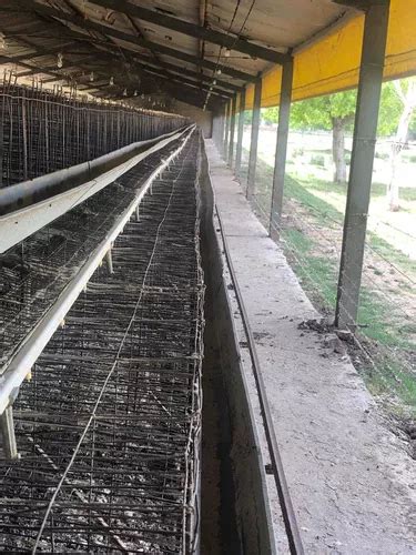 Jaulas Gallinas Ponedoras En Venta En General Las Heras Buenos Aires