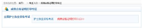 2021年护士执业考试成绩合格证明打印