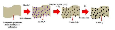 Schematic Representation Of The Moo3 Graphene Composite Materials