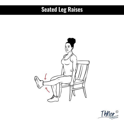 5 Simple Seated Exercises for a Full Body Workout: Works Top and Bottom ...