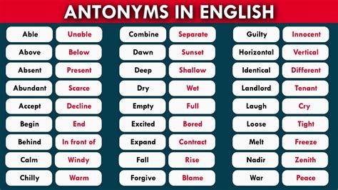 1000 Antonyms Words List Commonly Antonyms List With 55 Off