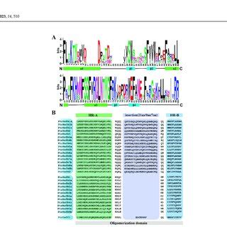 Visualization Of The Dna Binding Domains And Oligomerization Domain Of