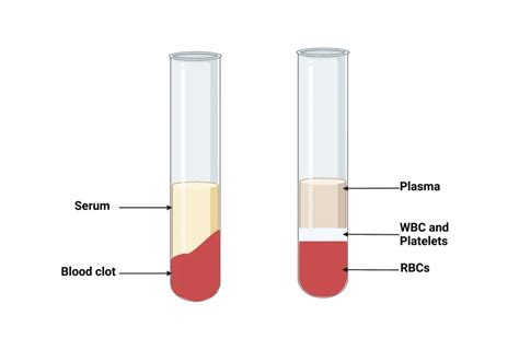 Differences Between Serum And Plasma Serum Vs Plasma Biology Notes