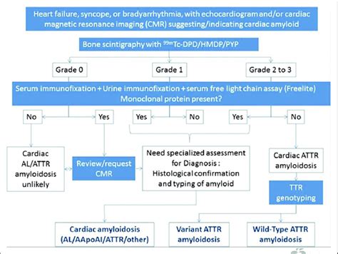 Consensus Algorithm For Noninvasive Diagnosis Of Cardiac Amyloidosis