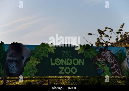 Animals - London Zoo - Regent's Park, London. General view of the ...