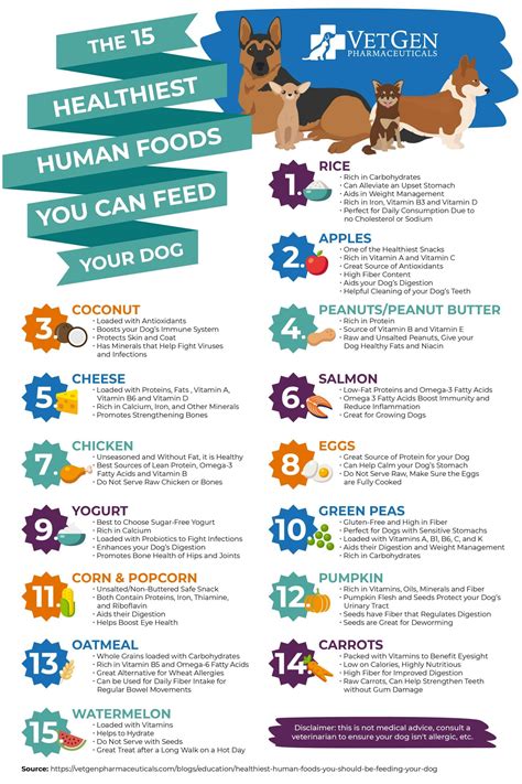 Heres What The Healthiest Human Foods Are For Your Dog Daily