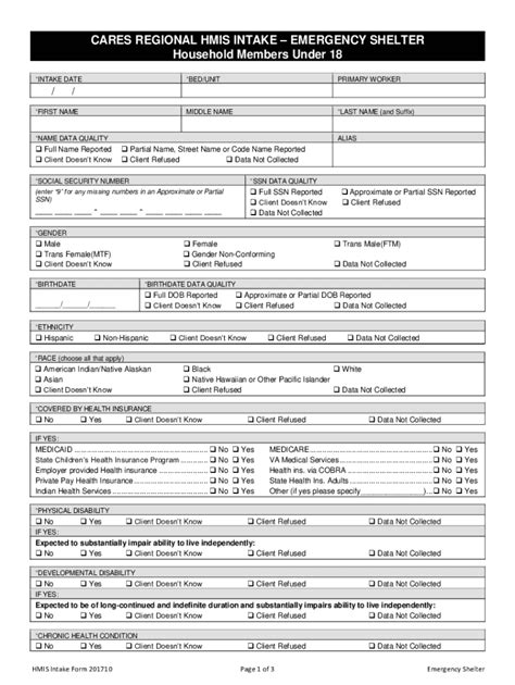 Fillable Online HMIS Project Intake Form Emergency Shelter Street