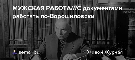МУЖСКАЯ РАБОТА///С документами работать по-Ворошиловски: sema_bu ...