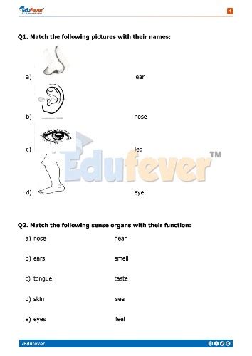 Cbse Class Evs Activity Worksheet In Pdf