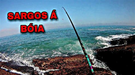 PESCA DE SARGOS Á BÓIA YouTube