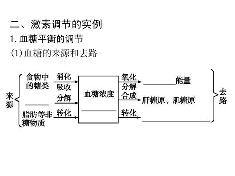 血糖调节word文档在线阅读与下载免费文档