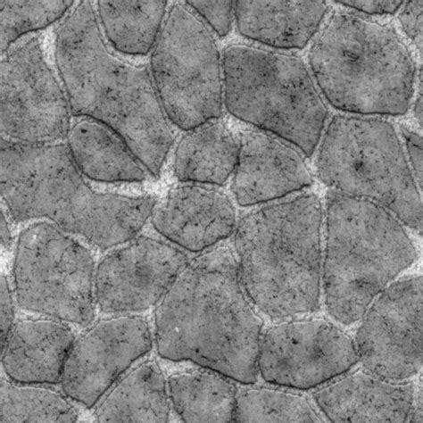 Texturise Free Seamless Textures With Maps Seamless Stone Floor Maps