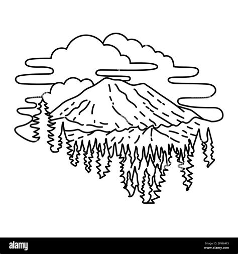 Mono line illustration of Mount Rainier National Park in southeast of