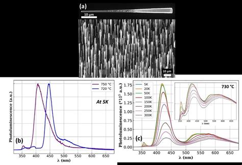 2 A SEM Image Of As Grown Wires For Sample With InGaN QWs Grown At