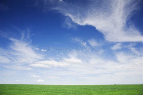 Campo Verde Cielos Azules Nubes Blancas En Resorte Imagen De Archivo