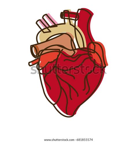 12 Humanheart Stock Vectors Images And Vector Art Shutterstock