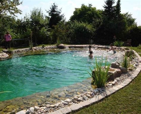 Pin Di Brody Avalon Su Pond Natural Pool Ideas Piscine Naturali