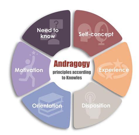 Andragogy Adapting Learning For Adults