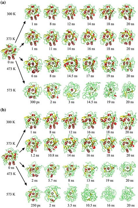 Snapshots Extracted From Different Time Points Of The Md Trajectories