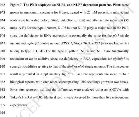 Cluster analysis of nitrate up-regulated genes. A) Heat-map of the gene ... 
