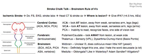 Brainstem Rule of Fours - The Original Kings of County