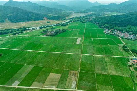 福建农村网 海峡农业杂志社旗下网站 “高标田”里话丰年 ——南平市持续推进高标准农田建设