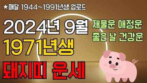 2024년 9월 1971년생 돼지띠 운세 돼지띠 운세 71년생 9월 돼지띠 운세 71년생 돼지띠 운세 운세풀이사전