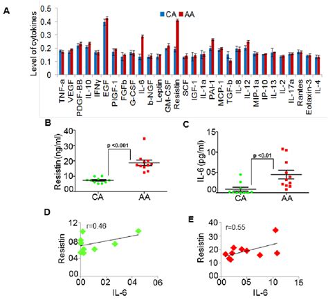 Resistin And Il 6 Levels Are High In Serum Of African American Aa As Download Scientific