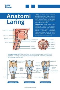 [PRINTABLE] Anatomi Laring A3+ POSTER by ASET gariswicara | TPT