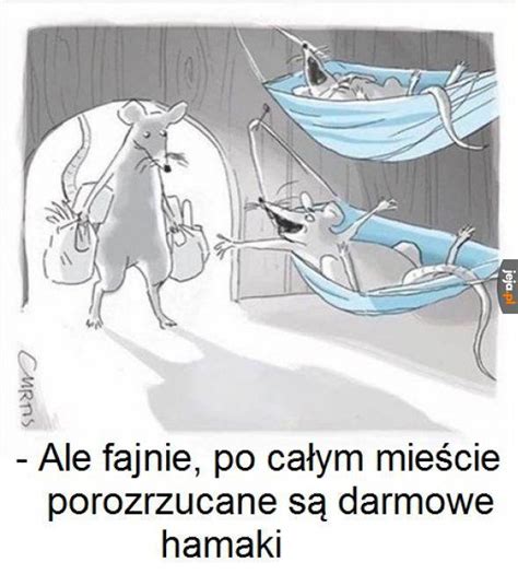 Najlepiej Jeja Pl