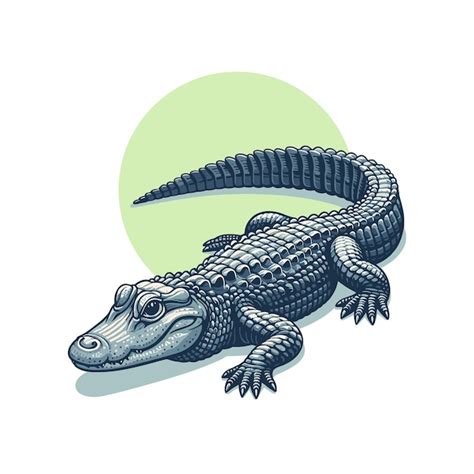 Premium Vector Alligator Or Crocodile Flat Vector Illustration