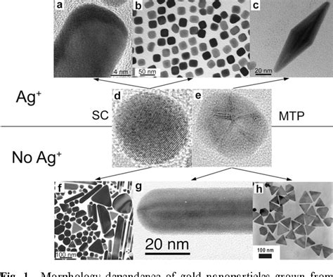 Shape Control In Gold Nanoparticle Synthesis Semantic Scholar