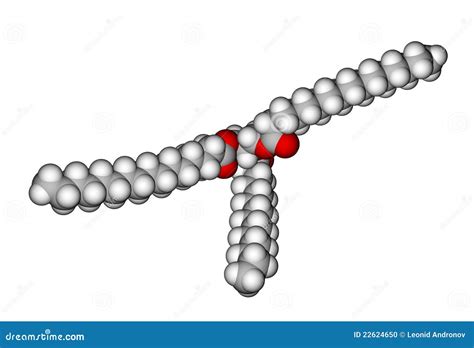 Triglyceride Molecular Structure Stock Illustration Illustration Of