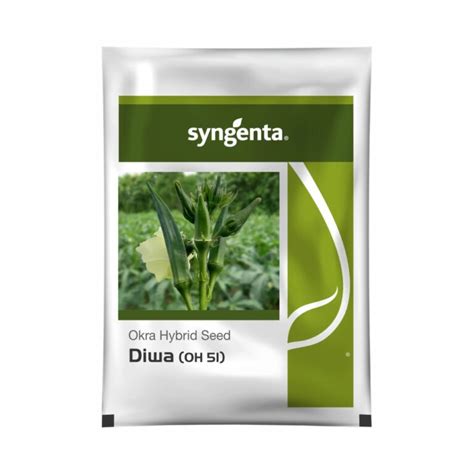 Syngenta Okra Hybrid Seeds Diwa Oh 51 250 Gm Leafconagro