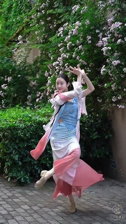 中国古典舞 无情画 十三钗舞坊 Chinese Classical Dance Dancer Classicaldance