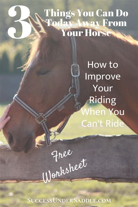 4 Great Benefits Of Horseback Riding Artofit