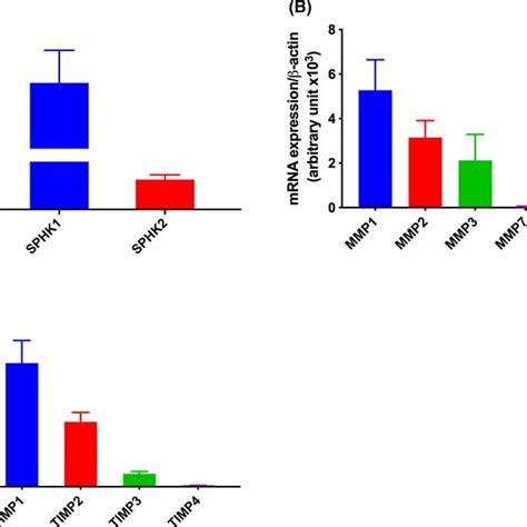 Expression Analysis Of Sphks Mmps And Timps In Htr Svneo Cells The