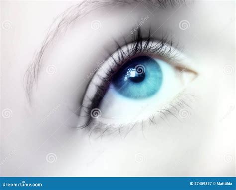Blauw Oog stock afbeelding. Image of zacht, volwassen - 27459857