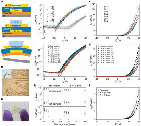 Flexible MoS2 FETs On Polyimide Substrate With SU8 Coating As The