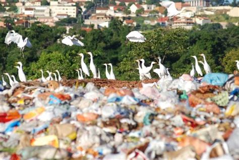 Brasil Descarta 33 Milhões De Toneladas De Lixo De Forma Irregular