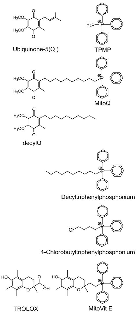 Targeted And Nontargeted Q And Vitamin E Analogs Used In This Study