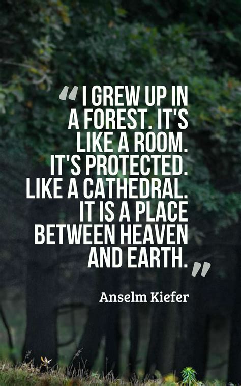 45 Inspirational Forest Quotes And Sayings