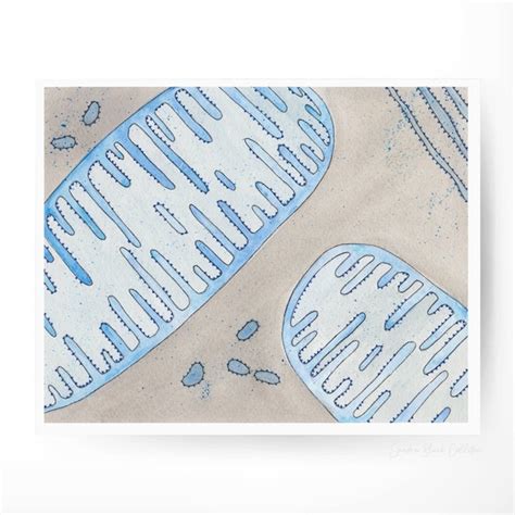 Mitochondria - Etsy