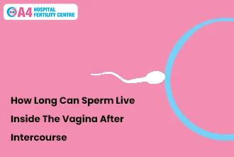 How Long Can Sperm Live Inside The Vagina After Intercourse A4