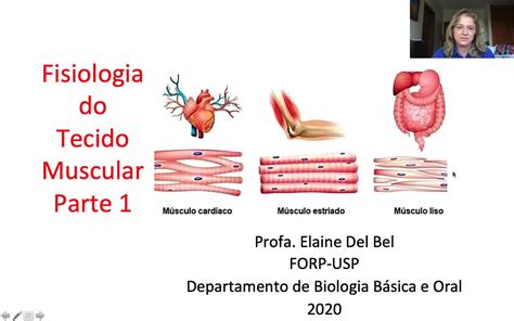 E Aulas Da USP Fisiologia Do Tecido Muscular Parte 1