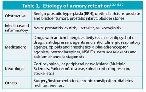 Tension Urinary Incontinence Medlineplus Medical Encyclopedia