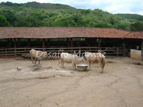 Fazenda do Chocolate - Desafio MamãeDesafio Mamãe