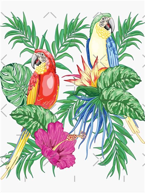 Macaws Parrots Exotic Birds With Tropical Leaves Flowers Sticker By